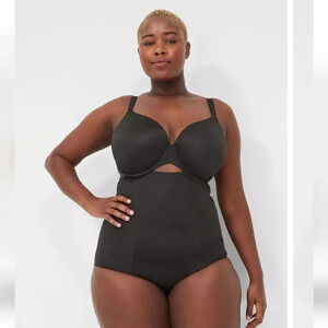 Cacique The Slimmer Ultra High‎ Waist Brief Panties NWOT 18/20